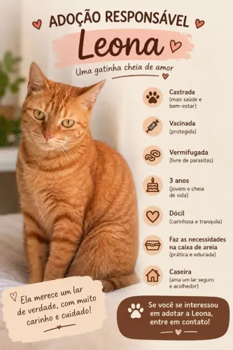 Adoção Responsável