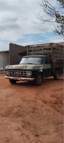 D10 chevrolet 