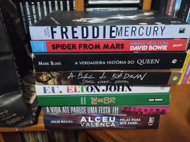 Lote de livros