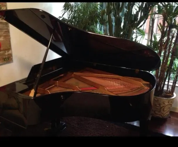 Piano de cauda Petrof 