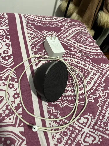 Alexa Echo dot