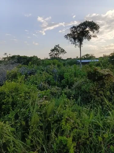 Terreno na litoral Pontal do Parana