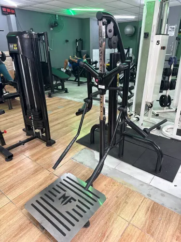 Elevação lateral e Dorsal