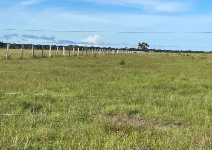 Fazenda a 963 hectares beira da BR 319 a 85km de Porto Velho Rondônia 
