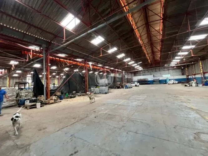BARRACAO / LOCACAO / RIO DAS PEDRAS / MOMBUCA / 3000m² area construida / 20000 m² terreno