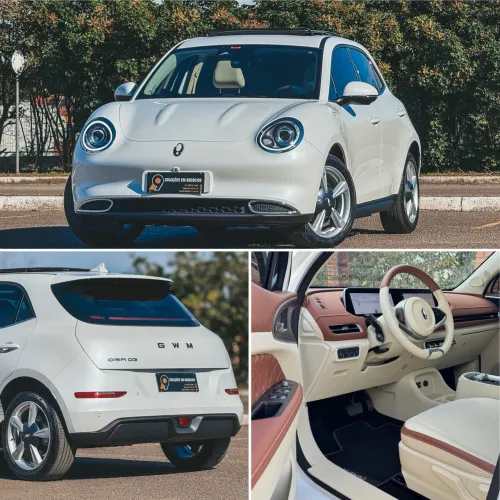 GWM Ora 03 Skin (elétrico) 2026