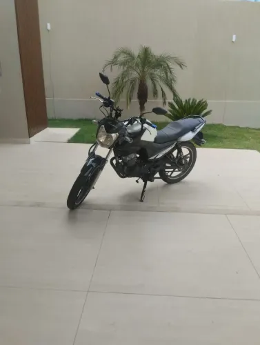 Pronta para transferência número para contato no WhatsApp *