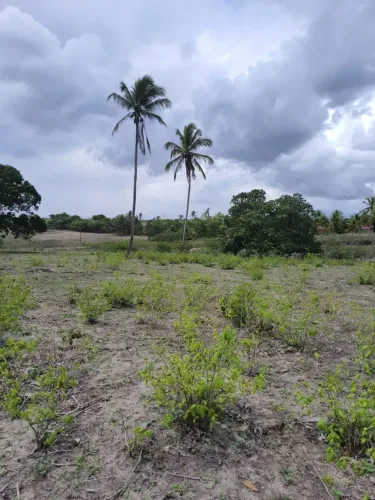 Fazenda com 150 hectares na região de são Gonçalo do amarante