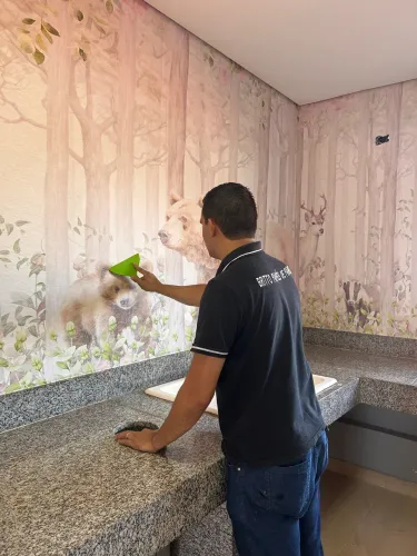 Papel de parede já instalados