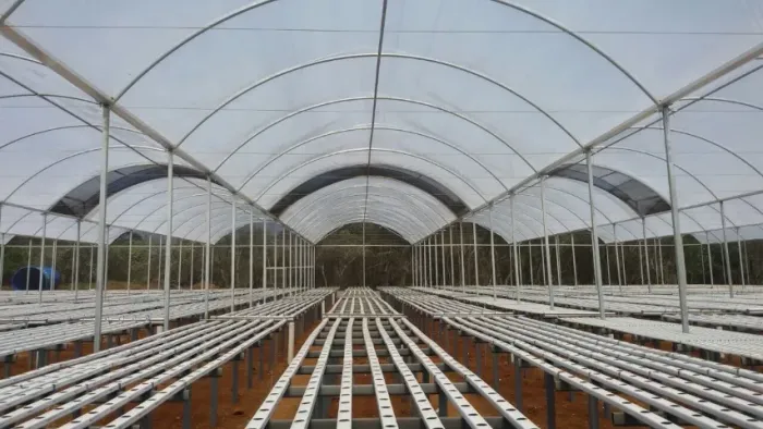 Estrutura Metálica Estufa Agrícola