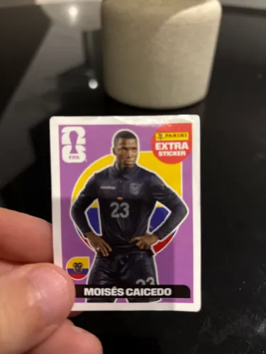 Caicedo - regular 