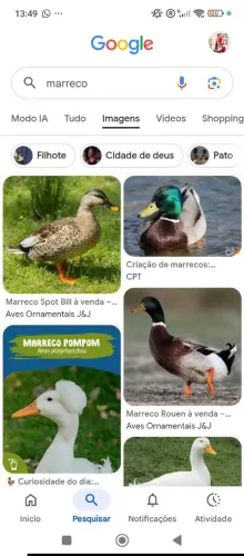 Procuro para comprar