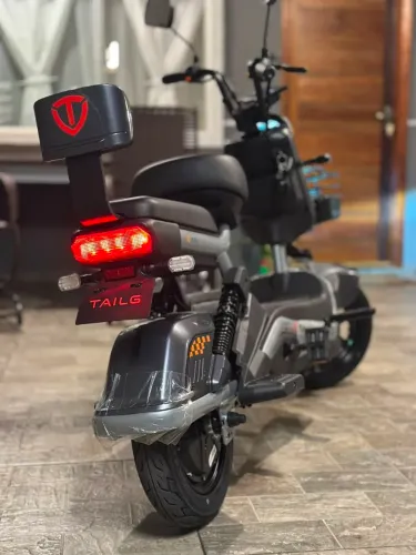 Moto elétrica Tailg 1000w