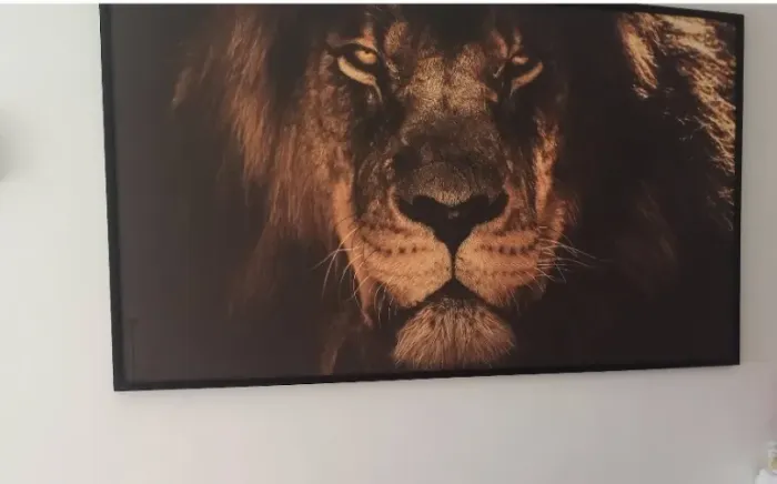 Quadro de parede