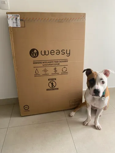 Banheiro inteligente cachorro - Weasy 