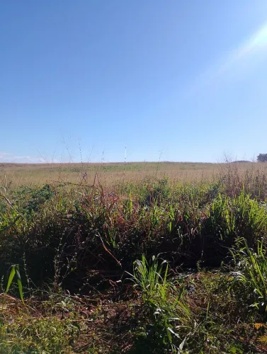Vendo fazenda em São Domingos do Maranhão