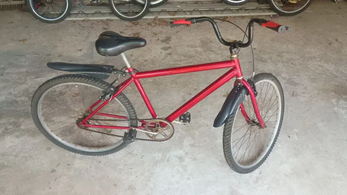 Esporte 