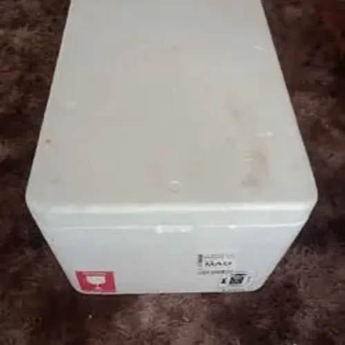 CAIXA DE ISOPOR SEMI NOVA 100 LITROS, VALOR 100 REAIS, MENOR PREÇO. PRA VENDER LOGO. 