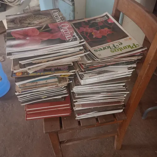 Livros e Revistas de Orquídeas Doação 