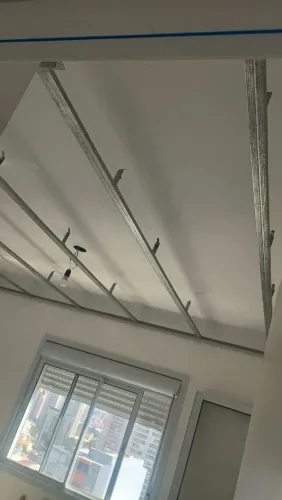 Gesseiro Drywall, pintura.