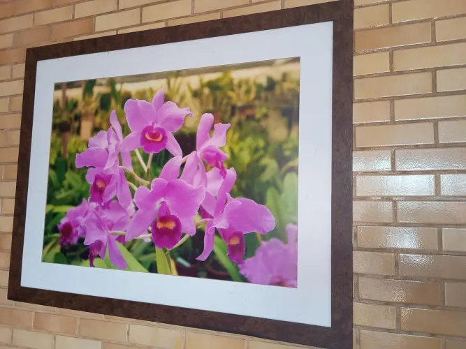 Quadro com foto real de orquídeas