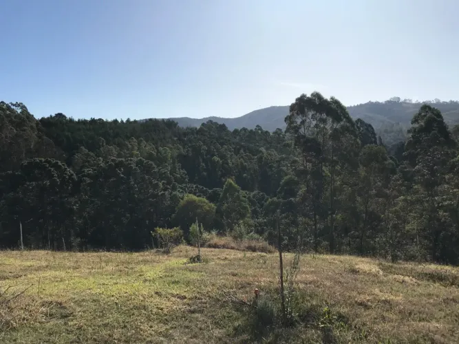Camanducaia, Bom Jardim/ Distrito de Monte Verde- Camanducaia Mg