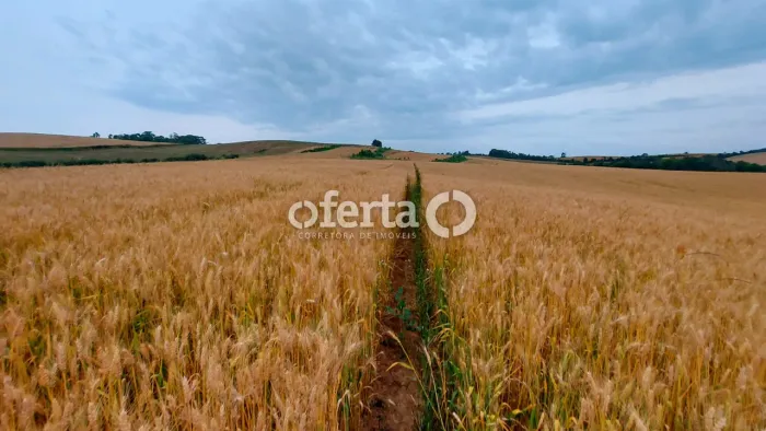 Fazenda em Antonio Olinto (20 alqueires)