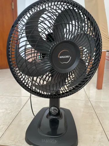 Ventilador 30 cm 220V