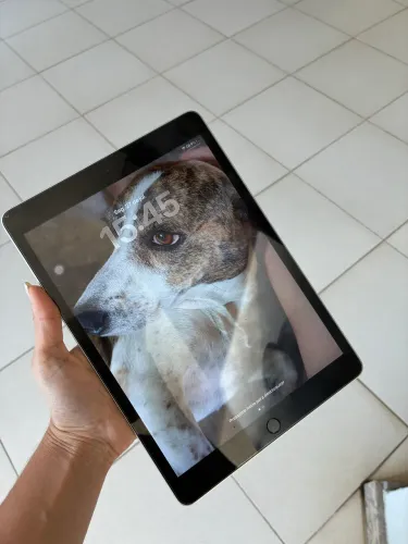 iPad 256gb pouco usado