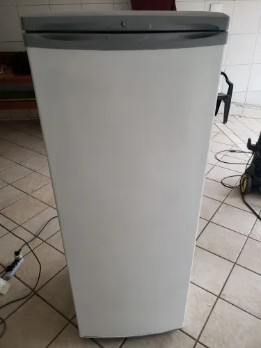 Freezer Electrolux