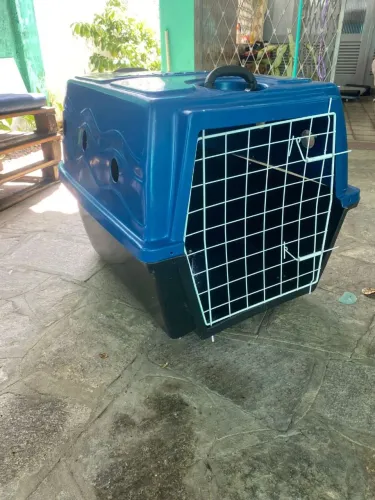 Caixa de transporte Pet Grande nunca foi usado