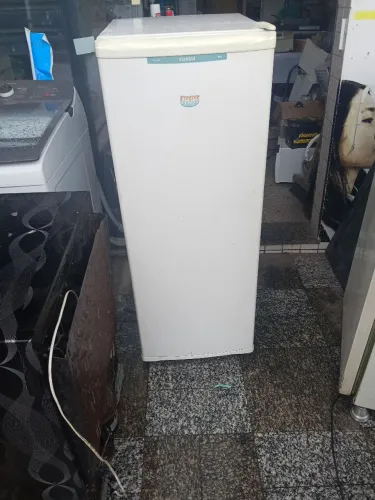 Freezer vertical