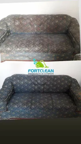 Limpeza & Higienização Profissional