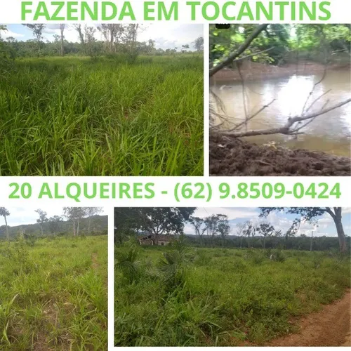 Roça Terra Chacara Fazenda para Gado a Venda em Tocantins TO 