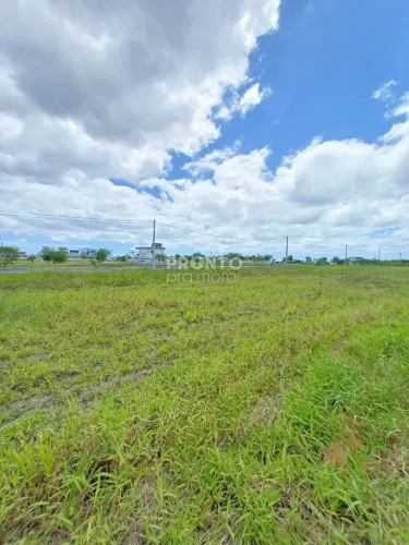 Apartamento charmoso Studio na Zona Sul