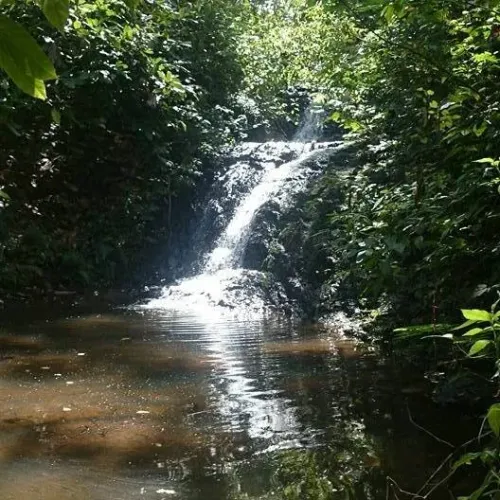 Fazenda Cacau - Ilhéus -Bahia