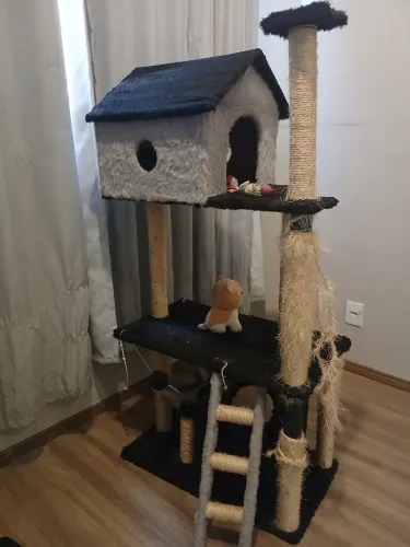 casinha gato