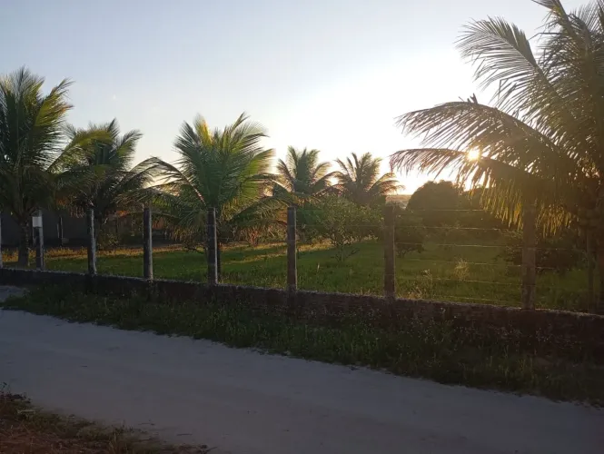 Terreno à venda, 256 m² por R$ 60.000 - Esperanca - Esperança/PB