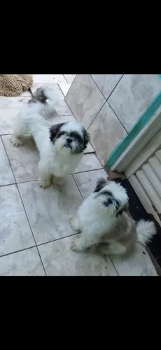 Doação responsável