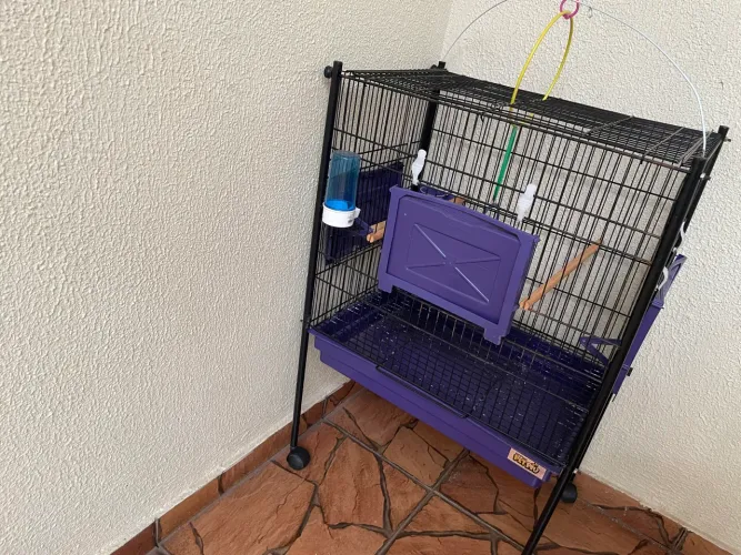 Gaiola para pássaros
