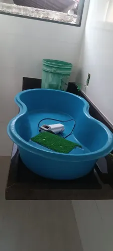 Aquário e piscina 100