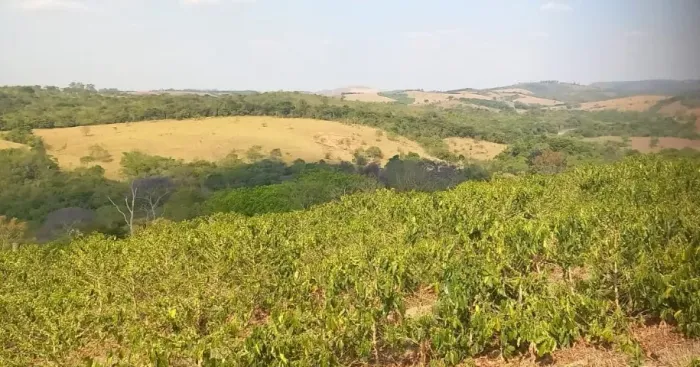 Excelente Fazenda de 420 Hectares, em Bom Sucesso - Sul de Minas Gerais 