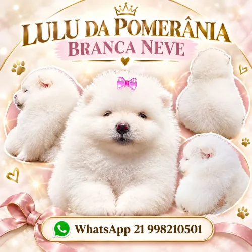 Lulu REALMENTE Lulu FEMEA