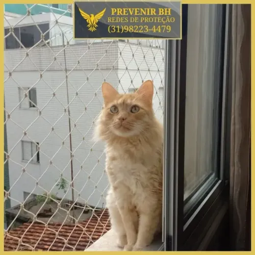 tela para gatos