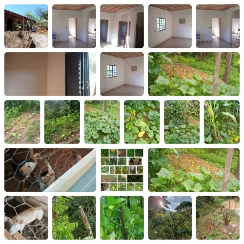 Vende-Se chácara perto do Fogão de lenha em Laranjeiras