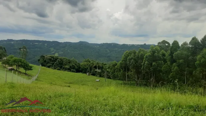 AREA RURAL em Nova Petrópolis - RS, São Jacó