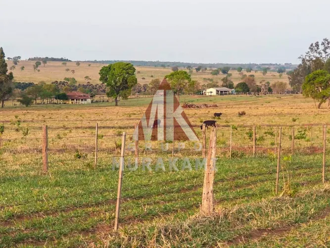 FAZENDA - CAMPO GRANDE - MS