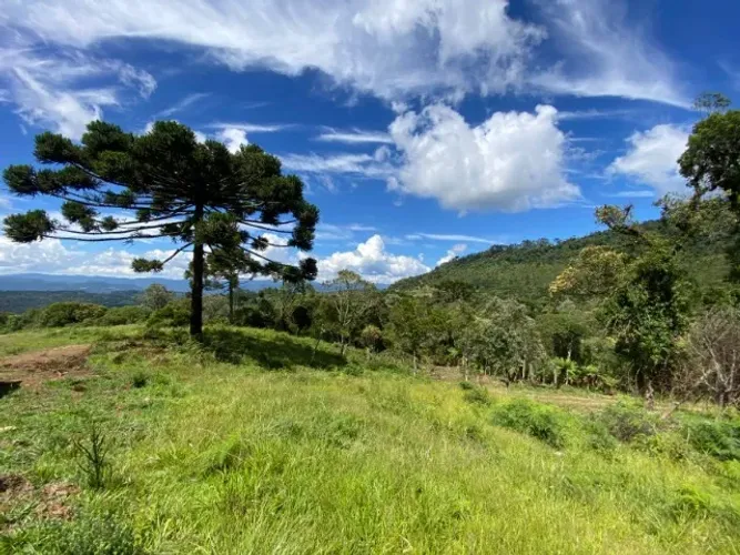 Chácara de 2 hectares à venda na Serra do Panelão, Urubici-SC