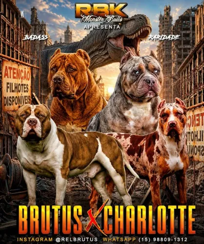 Filhote Pit monster 