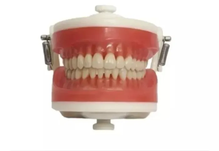 Vendo manequim dentário 